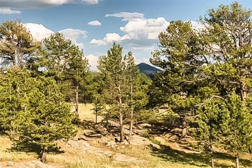 Skyline Ridge image 25